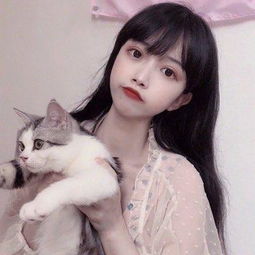 东东游戏助手下载